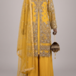 Ladies Party wear