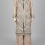 Ladies Party wear